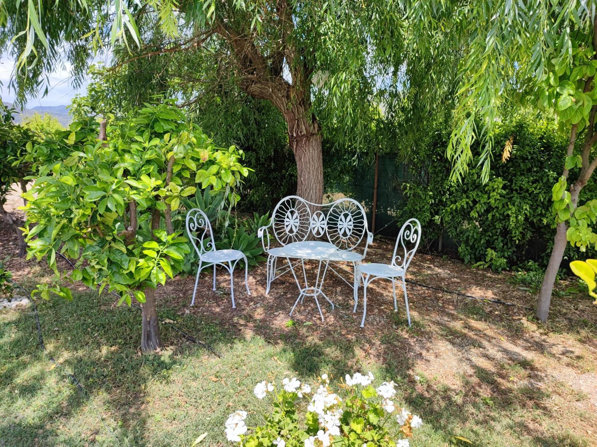Els Tarongers Perfect For Families Or Friends Сasa de vacaciones